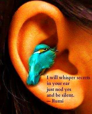 RUMI'S WORDS