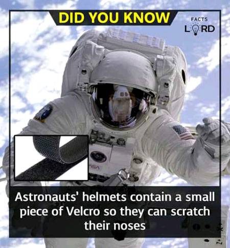 Unbelievable facts 💥💥