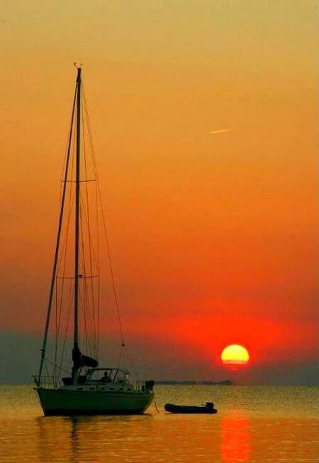 Evening photography 💕💕