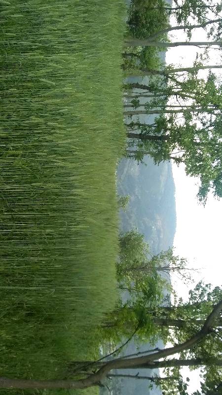 گاؤں کی خوب صورتی