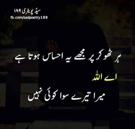 Beshak 🌼🌼