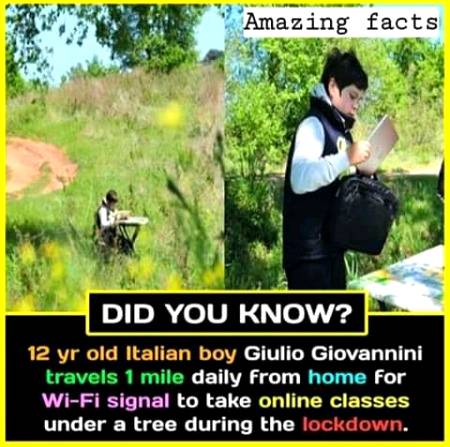 Unbelievable facts