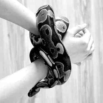 بلھے شاہ اسی جوگی ہوئے ساڈے سپاں نال یارانے
ساڈے انگ انگ دے وچ زہر چڑہیا تے ساڈا درد کوئی وی نہ جانے 🖤
Anum malik👌😇