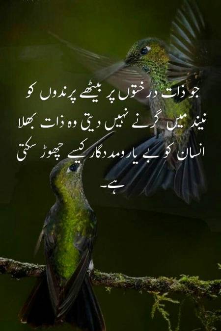 🔥🔥بیشک🔥🔥