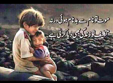 hlo friends