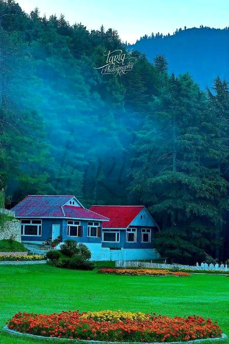 Shorgan pakistan🔥🔥