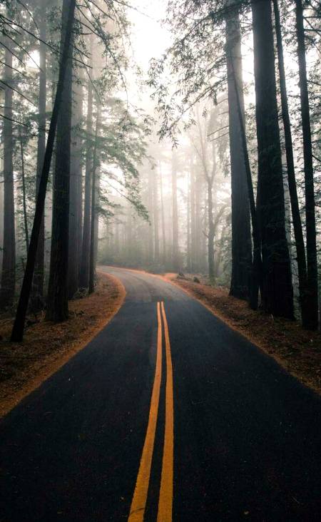 I love nature