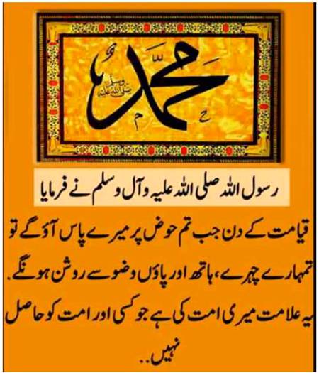 فرمانِ مصطفٰی صلی اللہ علیہ وآلہ وسلم