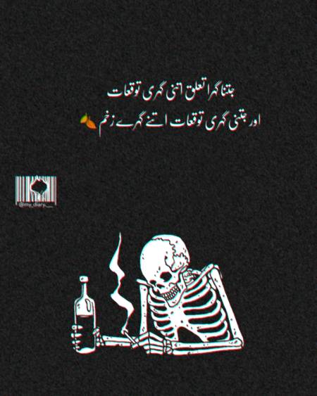 My Diary
