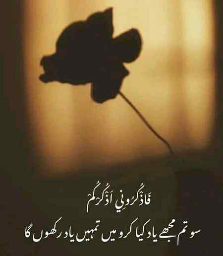 🌺____MorNiNg____🌺