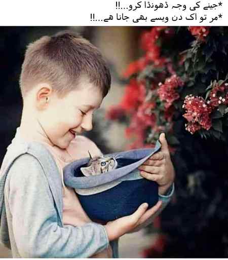 کچھ خاص جادو نہیں ہمارے پاس
بس باتیں دل سے کرتے ہیں❤️❤️