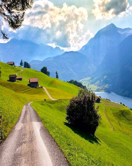 Autumn splendor. Portland, United States