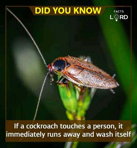 Unbelievable facts
