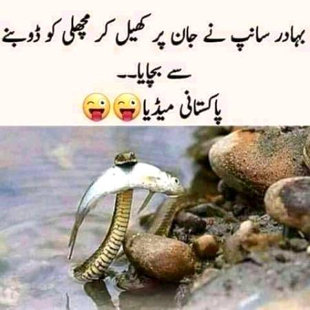 Pakistani media