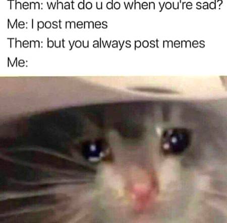 Sighs...Meme is an Emotion