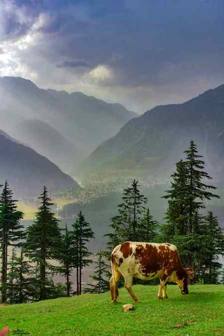 Beautiful kalam swat