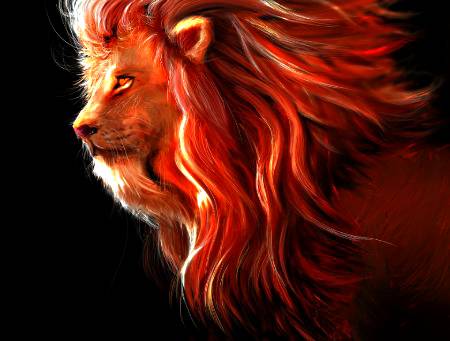 A lion ....