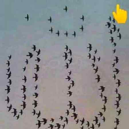Masha allah. ..❤❤