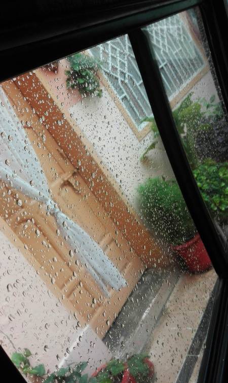 Showers 🌧️🌧️