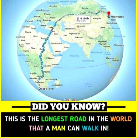 DID YOU KNOW??