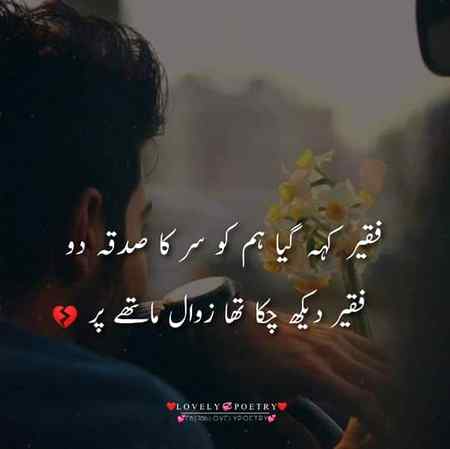 🍁Zoq_Shab🍁