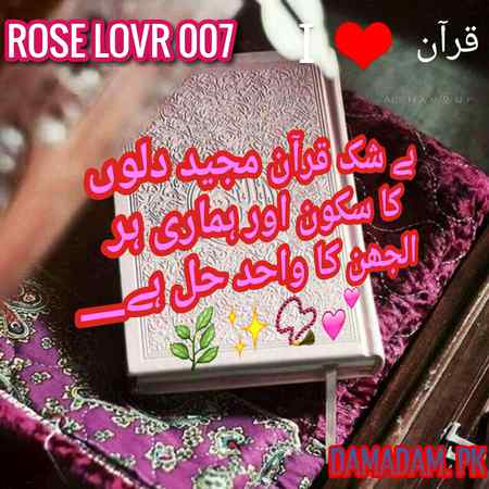 🌹💗👍👍💗🌹RoSe🌹💗👍👍💗🌹