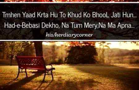 🥀🥀🥀😔💔💔💔💔😔🥀🥀🥀