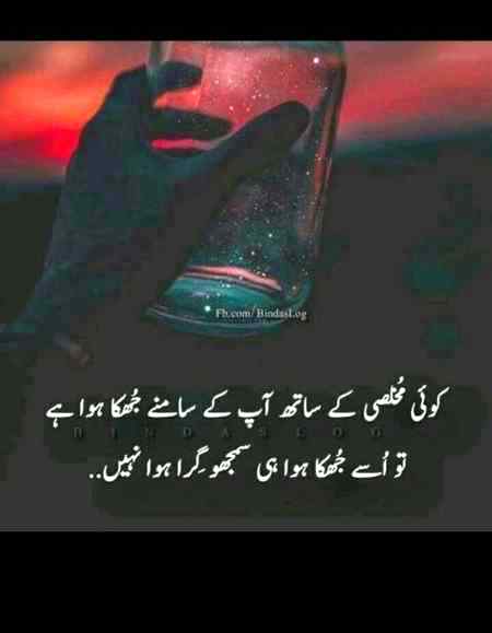 Nice line....