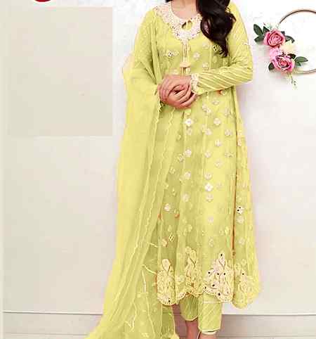 New pakistani organza suit
