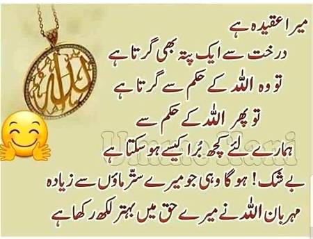🌹🌹🌹صلی اللہ علی حبیبہ محمد نور من نوراللہ وعلی آلہ واہل بیتہ وعترتہ وازواجہ وصحبہ وجدہ وذریتہ و کل امتہ وبارک وسلم کثیراً کثیرا و دائماً ابدا 🌹🌹🌹