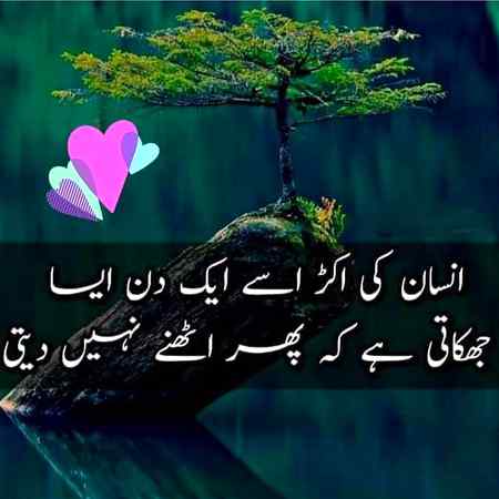 ❤🌹❤🌹❤🌹❤🌹🌹❤🌹❤🌹❤🌹❤