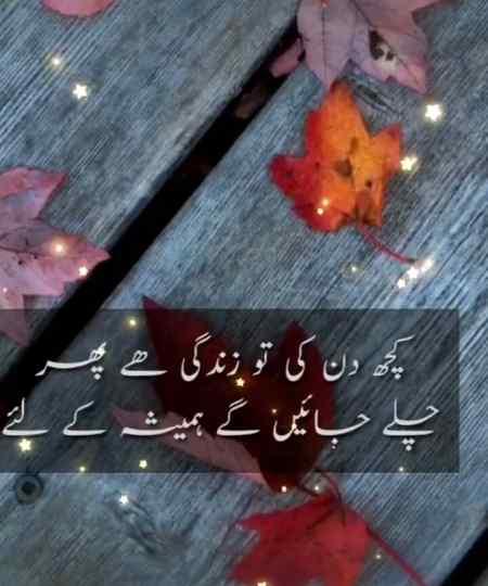 Right Hy na
