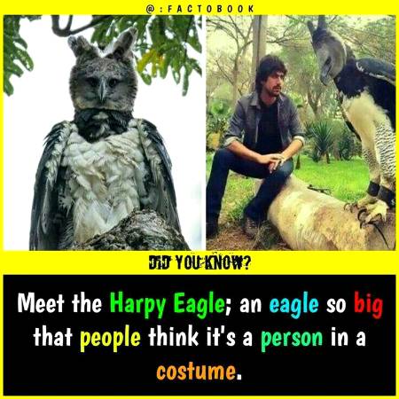 Did you know