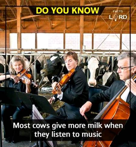 Unbelievable facts 💥💥
