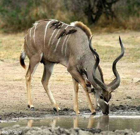 Beautiful photography