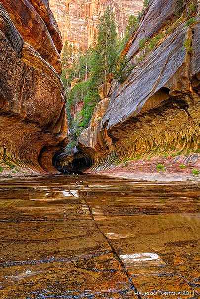 Zion park USA