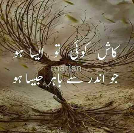 مدتوں کی چاہتیں تھیں
اک ضد پر ختم ہوئیں