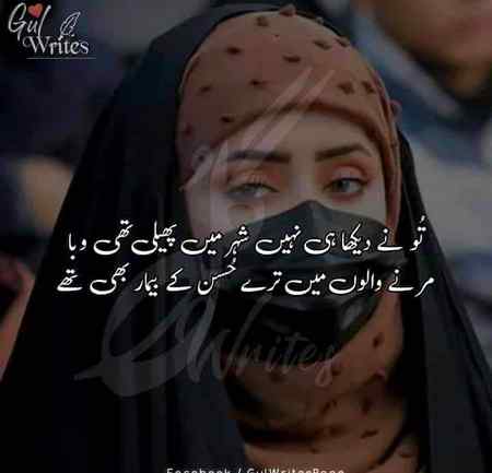 hlo friends