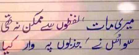 ❤❤❤🌹🌹🌹❤❤❤🌹🌹🌹❤❤❤