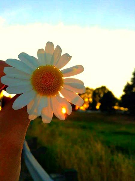 *رسول اللہ صلی اللہ علیہ وسلم کا فرمان ہے:*
(جس شخص نے کسی مسلمان کی دنیاوی تکلیفوں میں سے کوئی تکلیف دور کی، اللہ تعالی اس کی قیامت کی تکلیفوں میں سے کوئی تکلیف دور کرے گا اور جس شخص نے کسی تنگ دست کے لیے آسانی کی، اللہ تعالی اس کے لیے دنیا اور آخرت میں آسانی کرے گا اور جس نے کسی مسلمان کی پردہ پوشی کی، اللہ تعالیٰ دنیا اور آخرت میں اس کی پردہ پوشی کرے گا اور اللہ تعالیٰ اس وقت تک بندے کی مدد فرماتا رہتا ہے جب تک بندہ اپنے بھائی کی مدد میں لگا رہتا ہے اور جو شخص اس راستے پر چلتا ہے جس میں وہ علم حاصل کرنا چاہتا ہے تو اللہ تعالی اس کی وجہ سے اس کے لیے جنت کا راستہ آسان کر دیتا ہے ۔۔۔) *
📚🖌➖ مسلم: (2699)