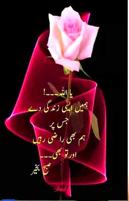 MUGHAL SHARNI AMEEN