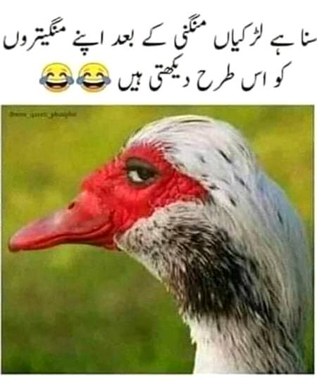 :-D :-D :-D :-D :-D ...