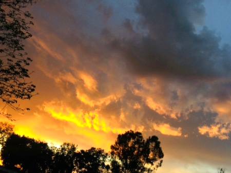 Yesterday beauty...😍❣️