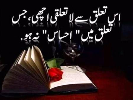 What say dosto