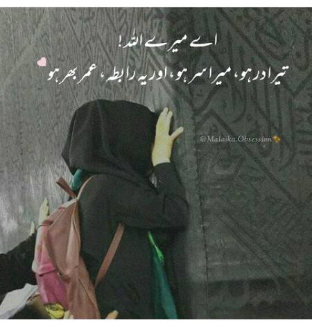 ✨❤Prinsess❤✨
 ✨❤Ameen❤✨