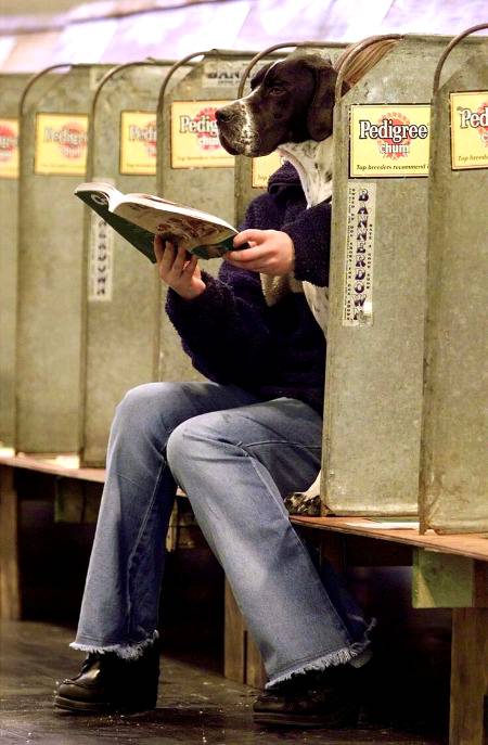 Optical illusion photography..