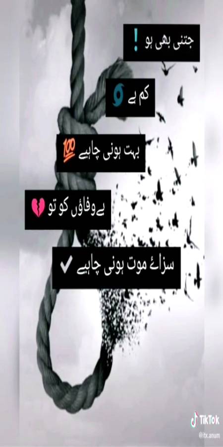 👉🍀kamii🍀👈