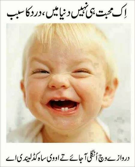 Bat tu such ha