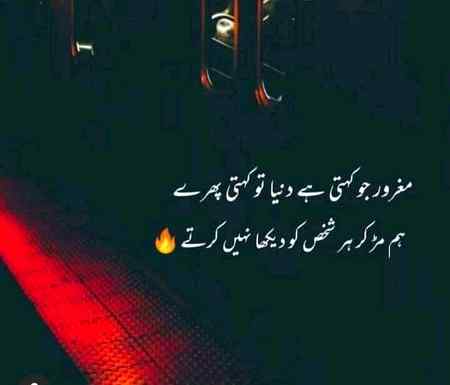 Ham mur k hr shakhs ko dakha nhi krty 😎