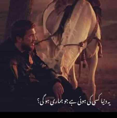 🍁Zoq_Shab🍁